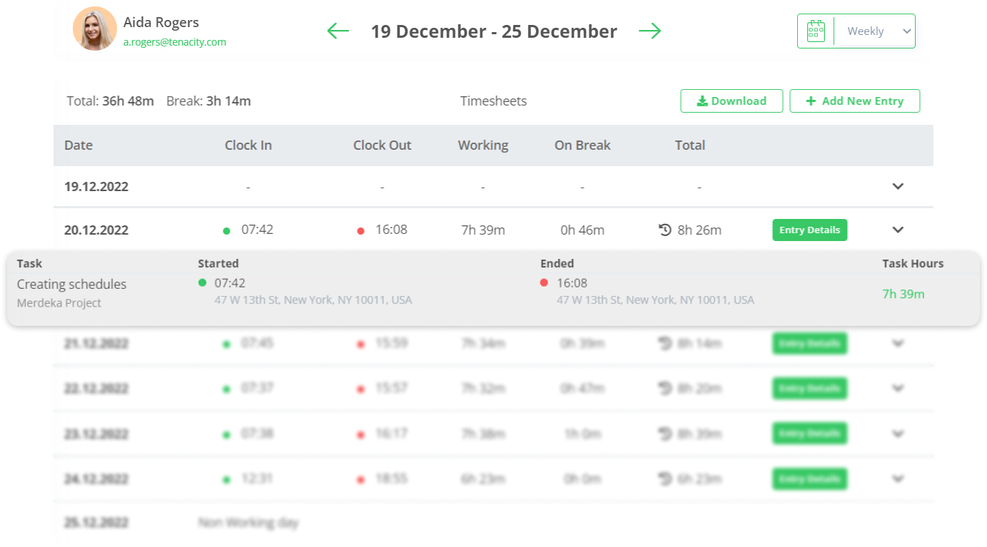 Web Timesheets